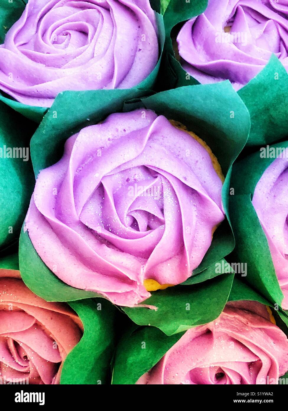 Food art,flowers that are made of piped icing. With a green grease proof paper for leaves. - Smartphone Captured Stock Image