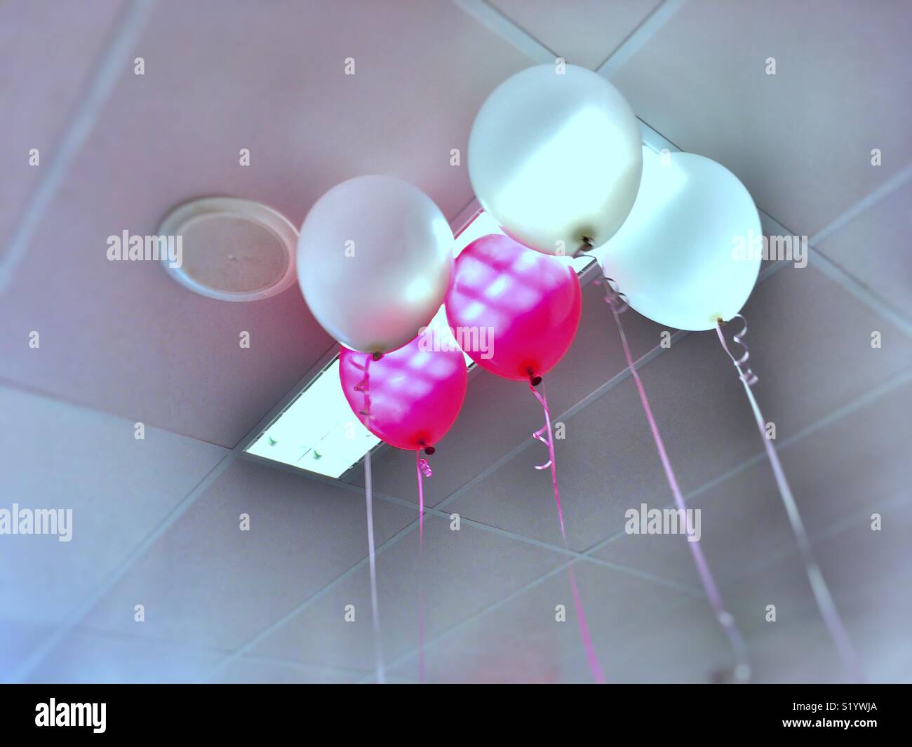 Helium balloons after the party. - Smartphone Captured Stock Image