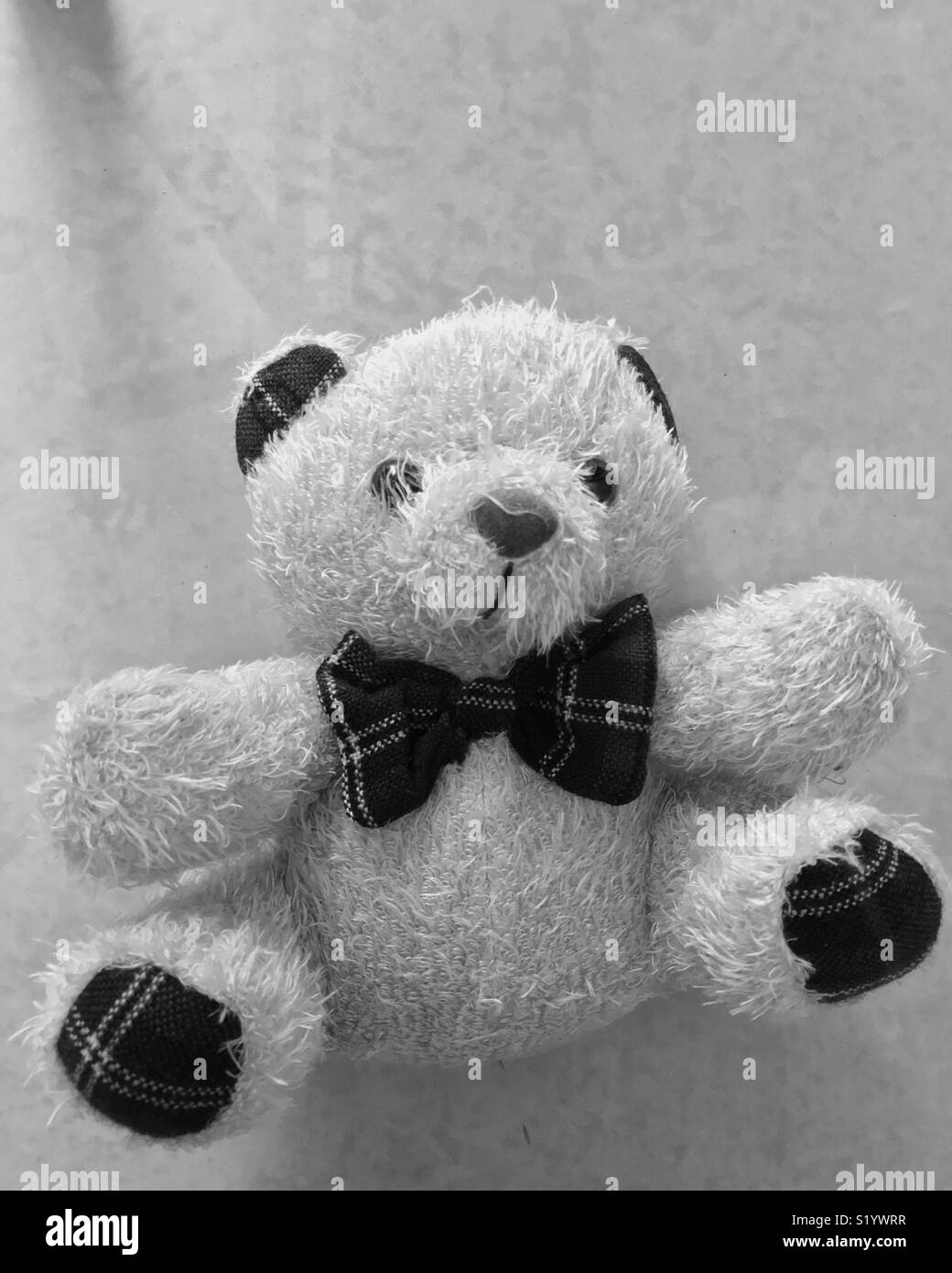 Cute teddy bear Stock Photo