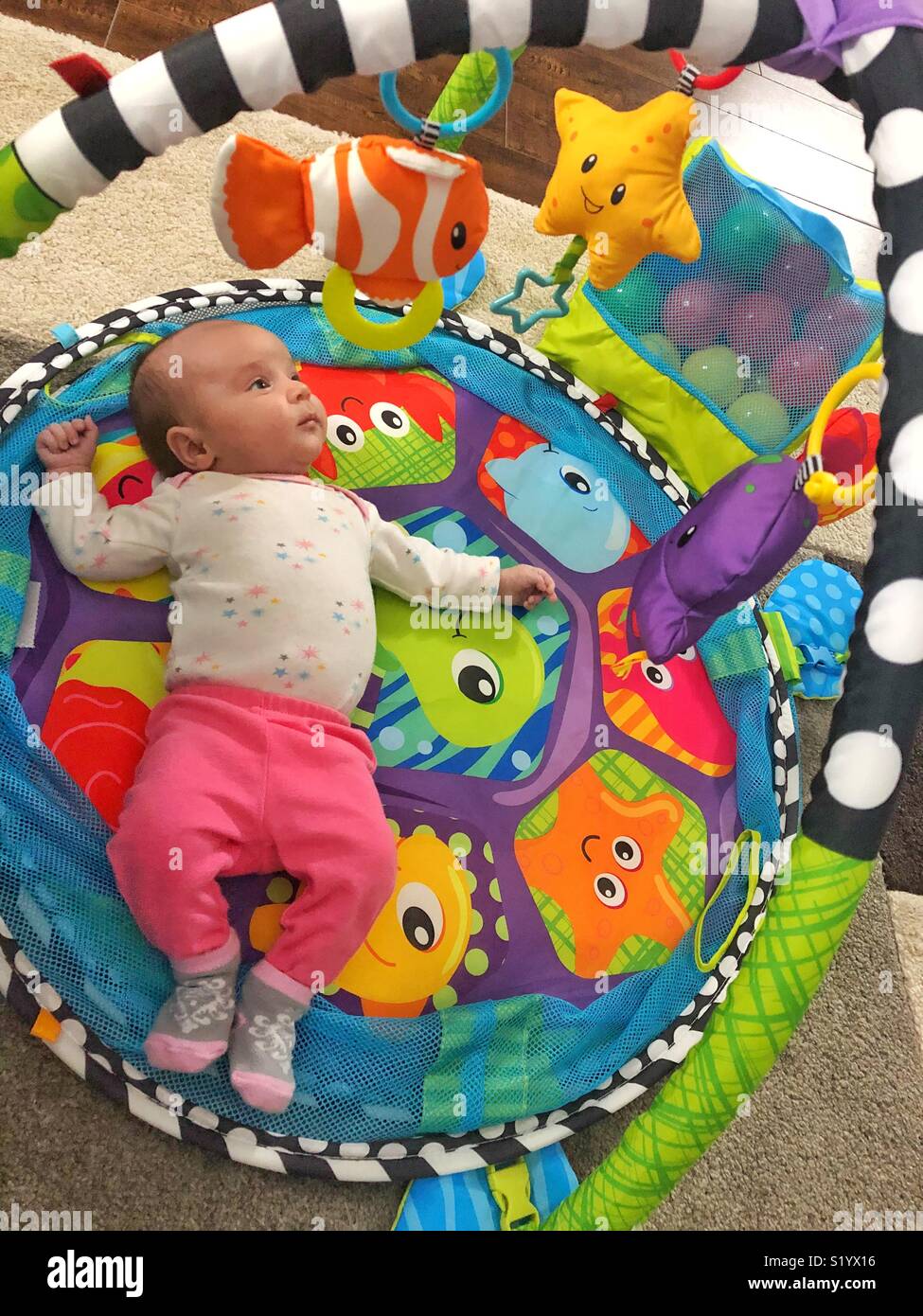 Newborn in her play gym Stock Photo - Alamy