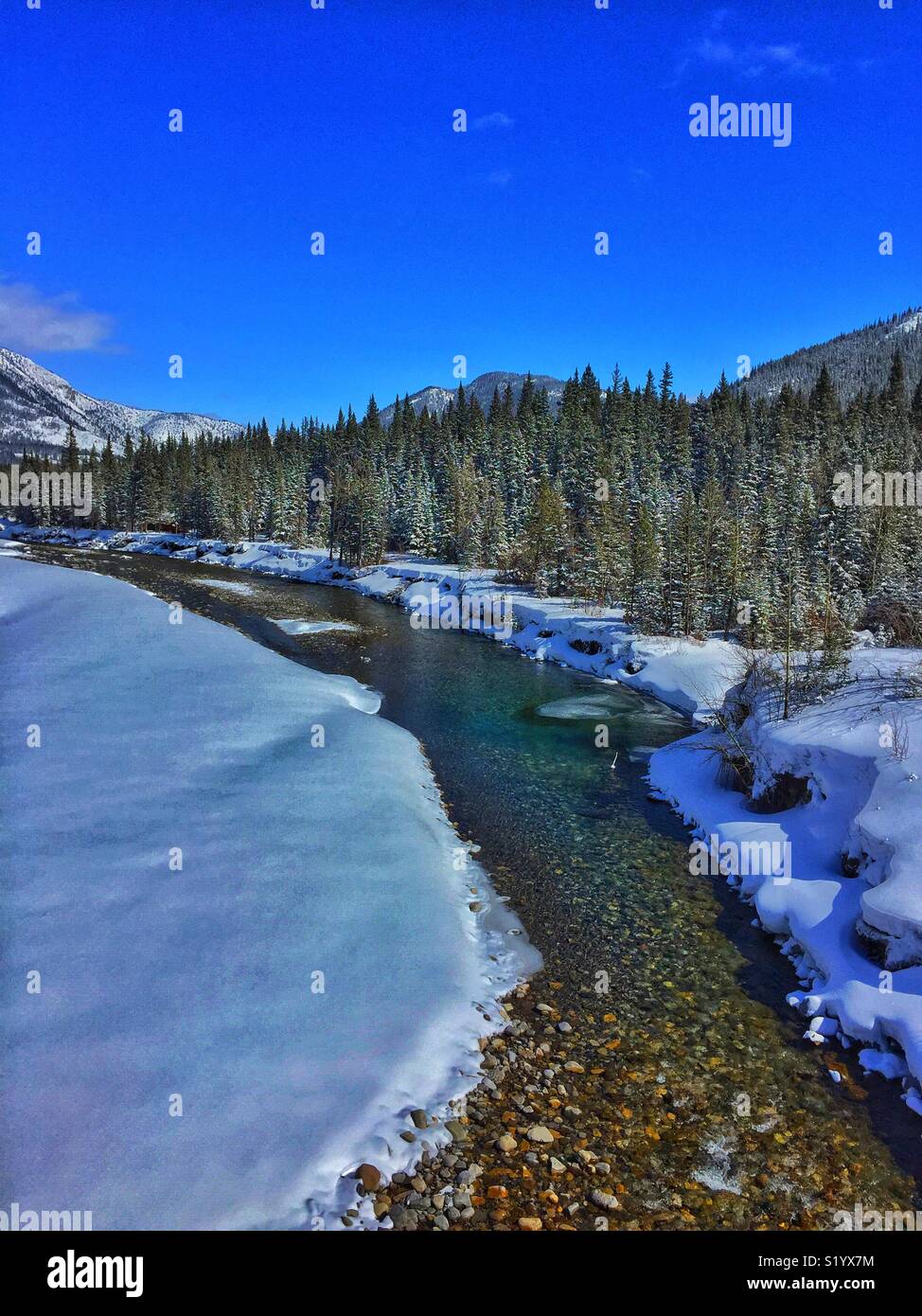 River's edge, Highwood River in Kananakis Country Stock Photo
