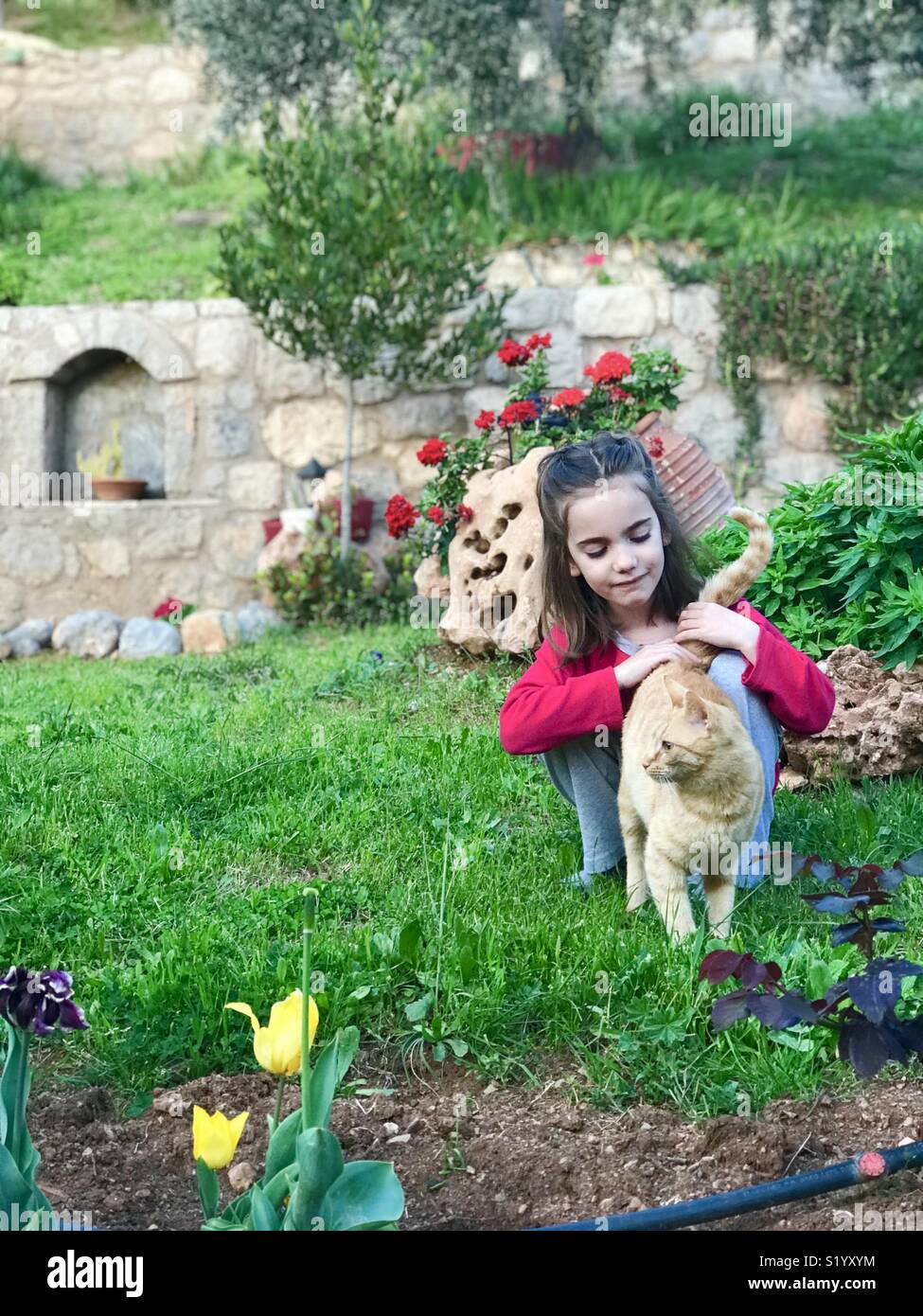 Little girl with a cat Stock Photo Alamy