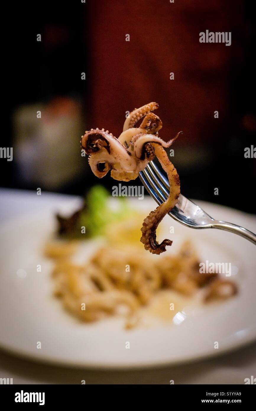 Pan fried calamari Stock Photo Alamy