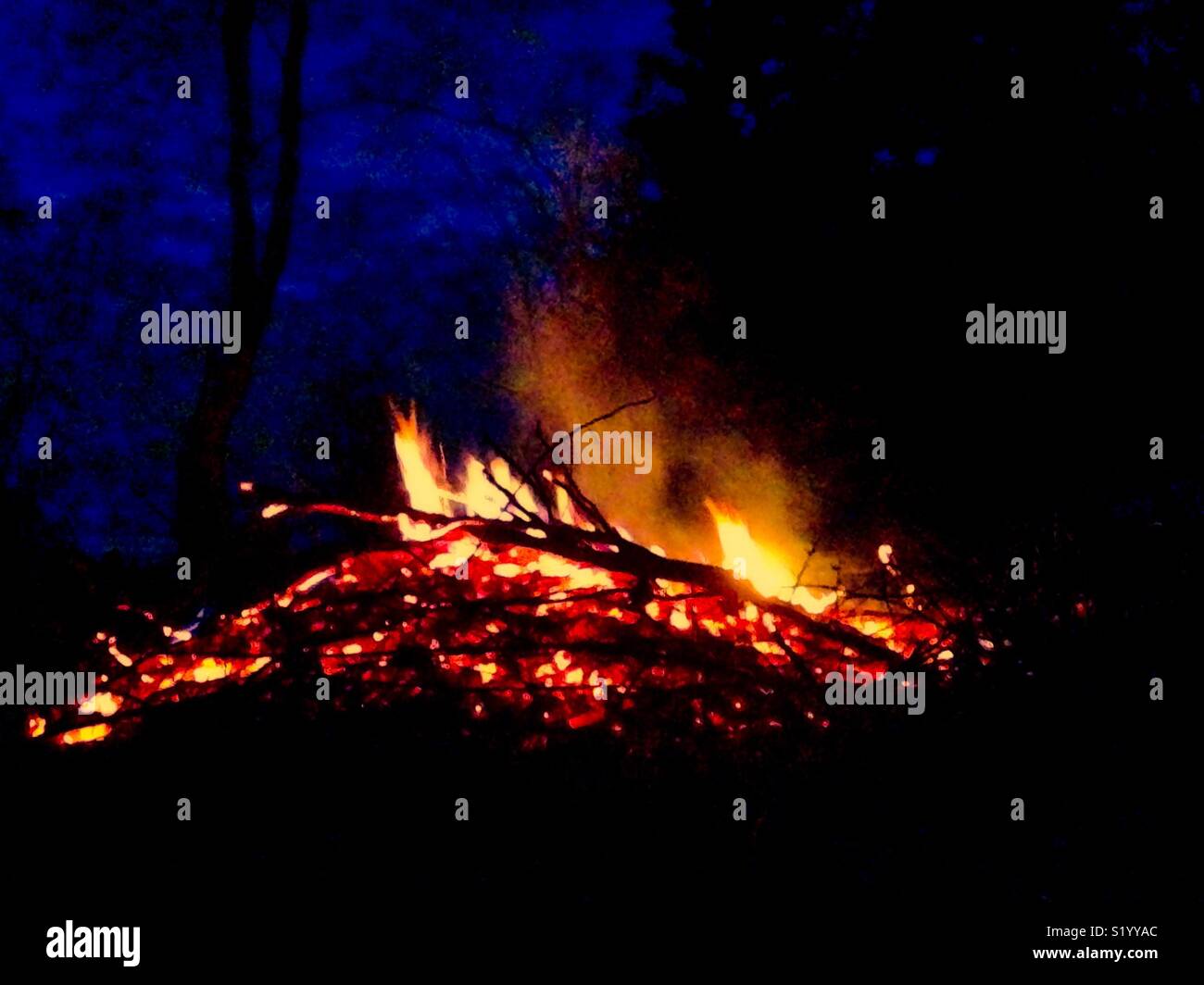Campfire flames against blue night sky Stock Photo
