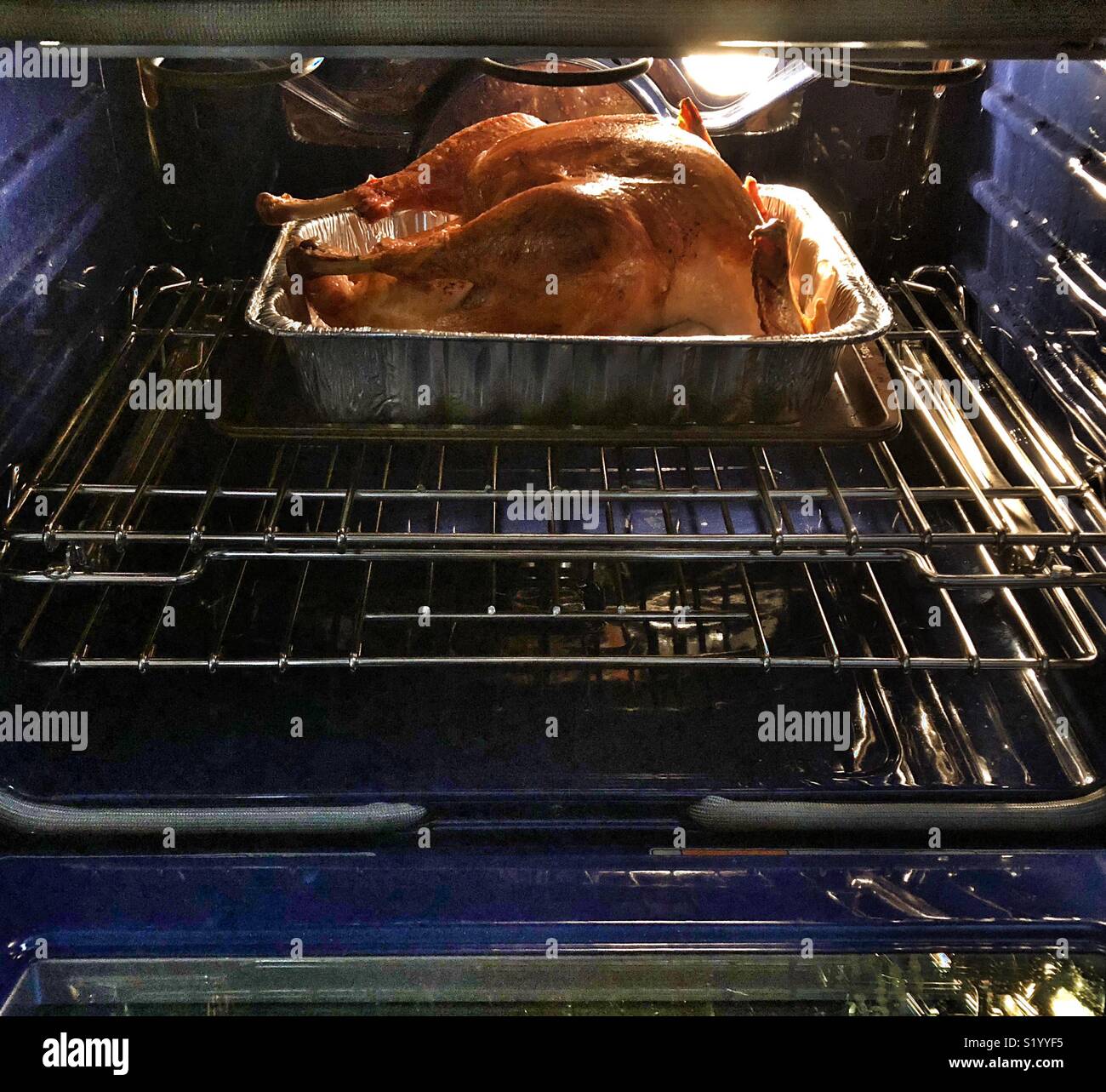 Golden brown turkey cooking in a home oven - Smartphone Captured Stock Image