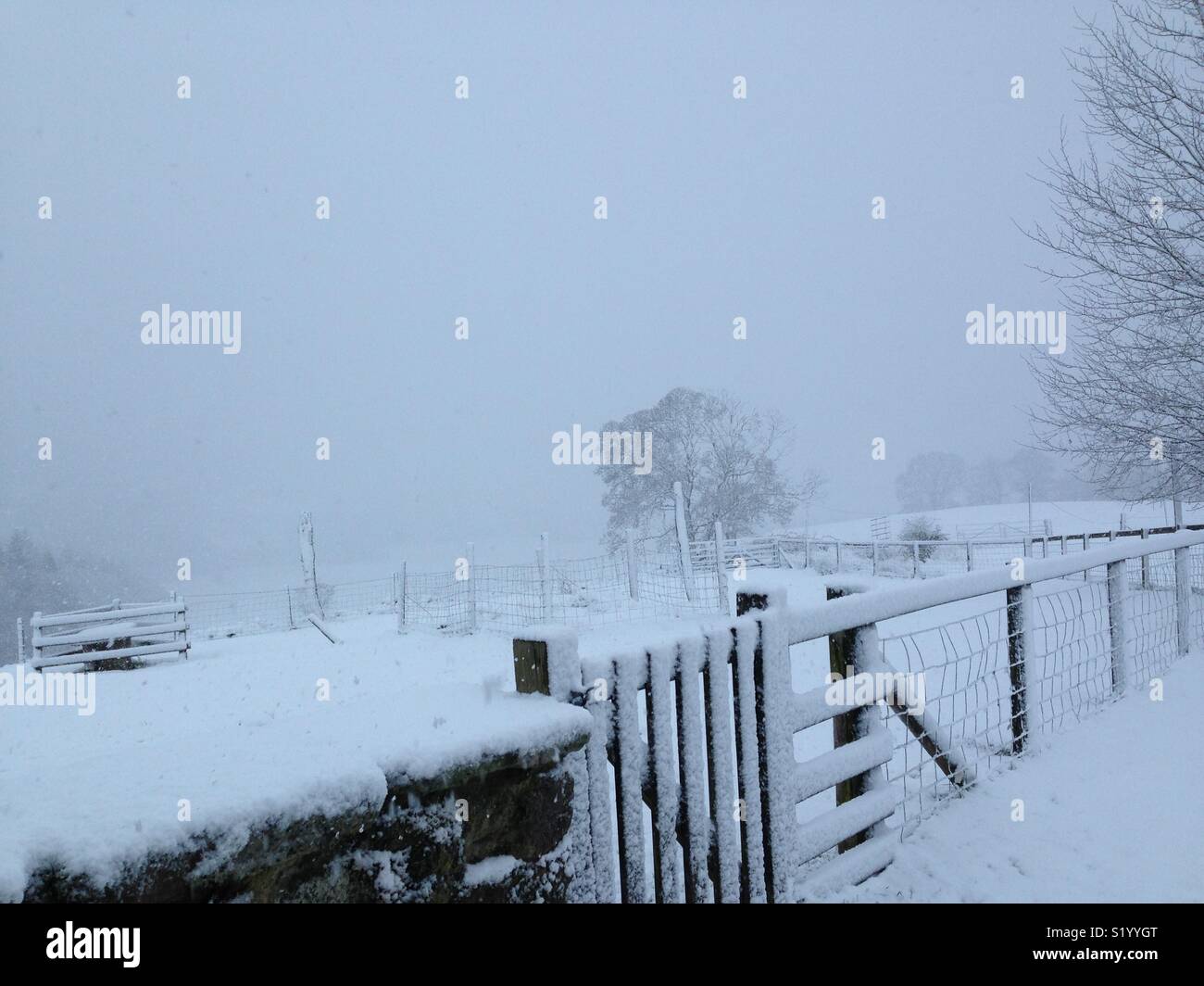 Snowed in Stock Photo