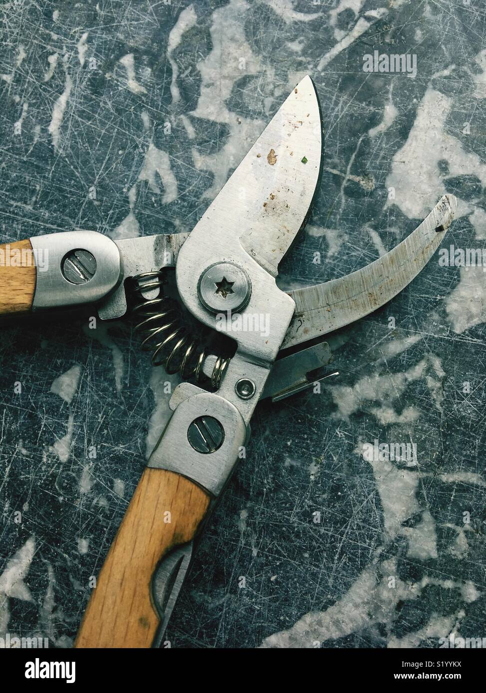 A pair of loppers - Smartphone Captured Stock Image