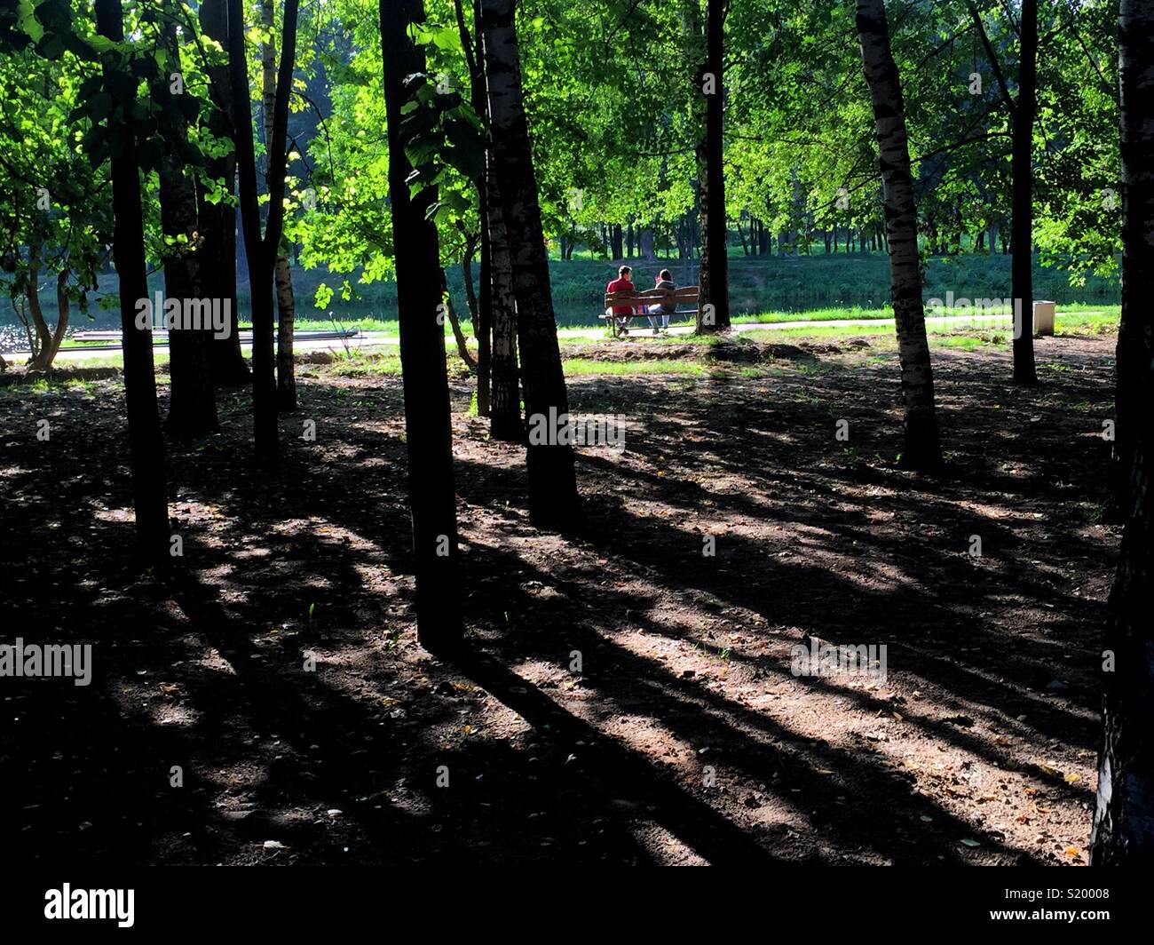 Sunny afternoon in the park in Russia - Smartphone Captured Stock Image