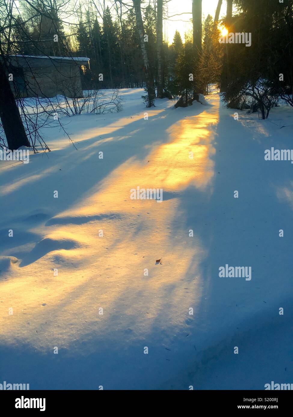 way to the sun - Smartphone Captured Stock Image