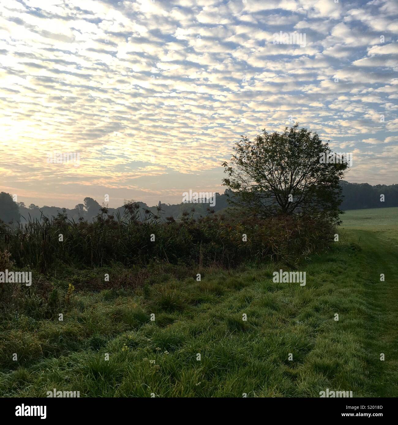 English countryside under a mackerel sky Stock Photo