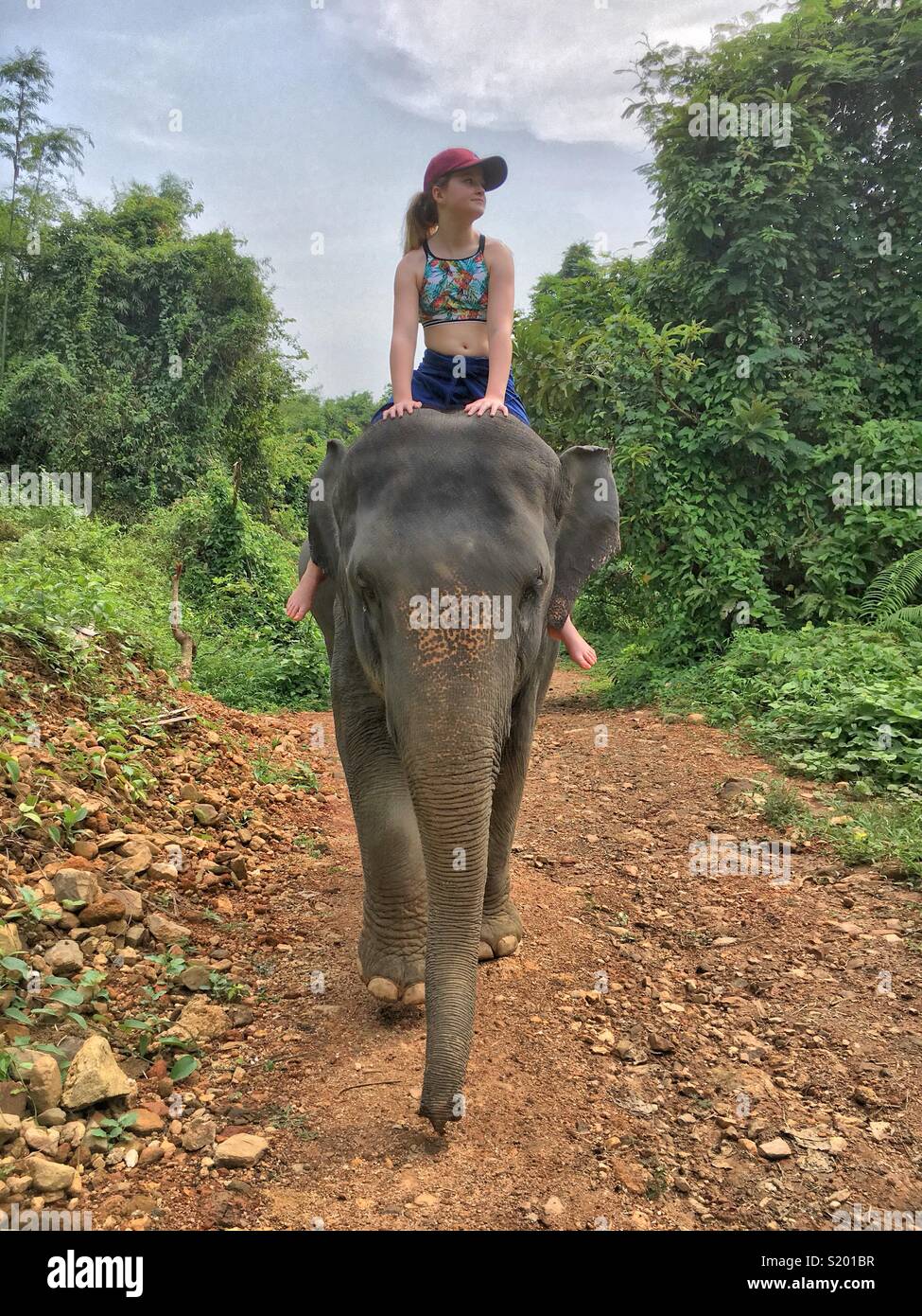 Young girl riding an elephant front on Stock Photo Alamy