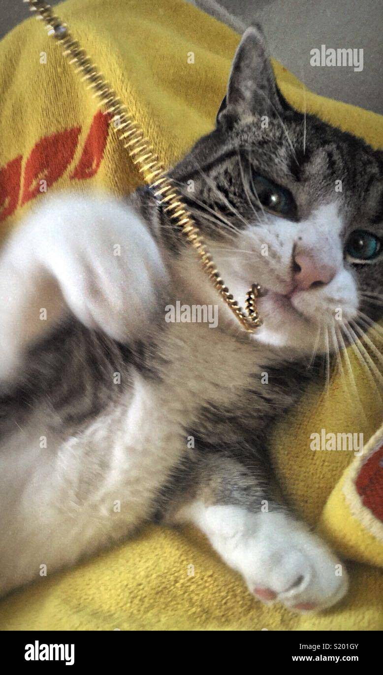 This is MINE! Stock Photo - Alamy