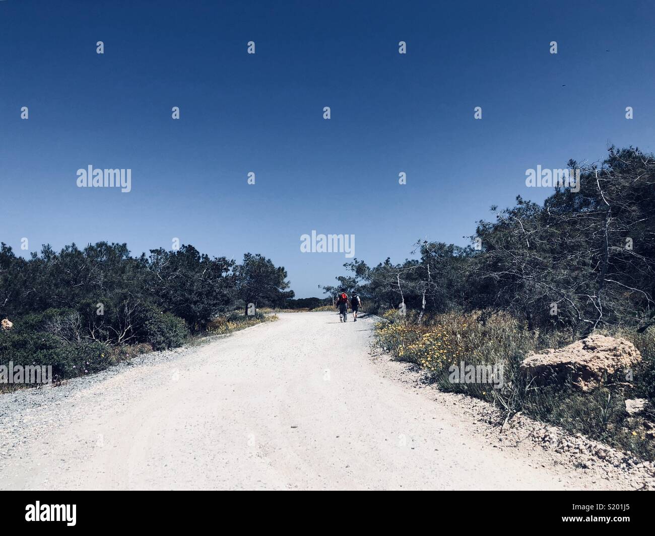 Path scenery on Cyprus - Smartphone Captured Stock Image