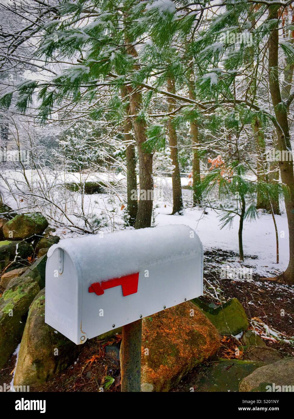 White private residence mailbox in rural new England snowstorm, United States. - Smartphone Captured Stock Image