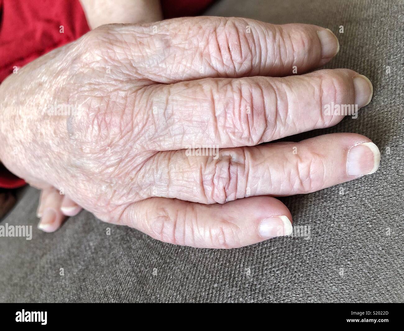 Wrinkles wrinkled hi-res stock photography and images - Alamy