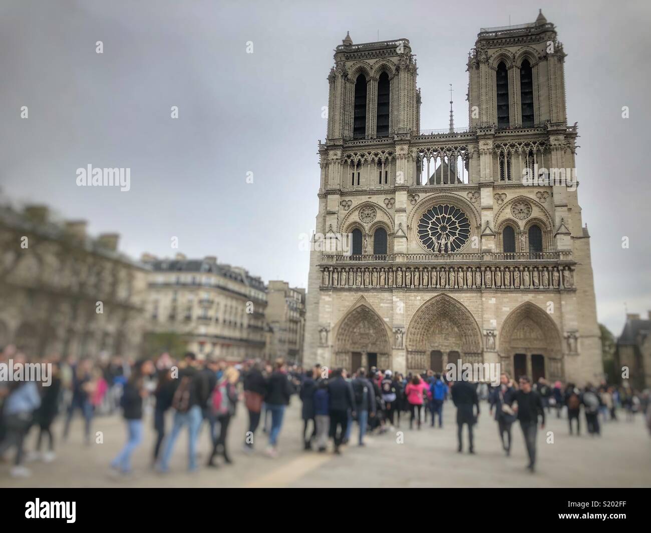 Notre Dame de Paris France - Smartphone Captured Stock Image