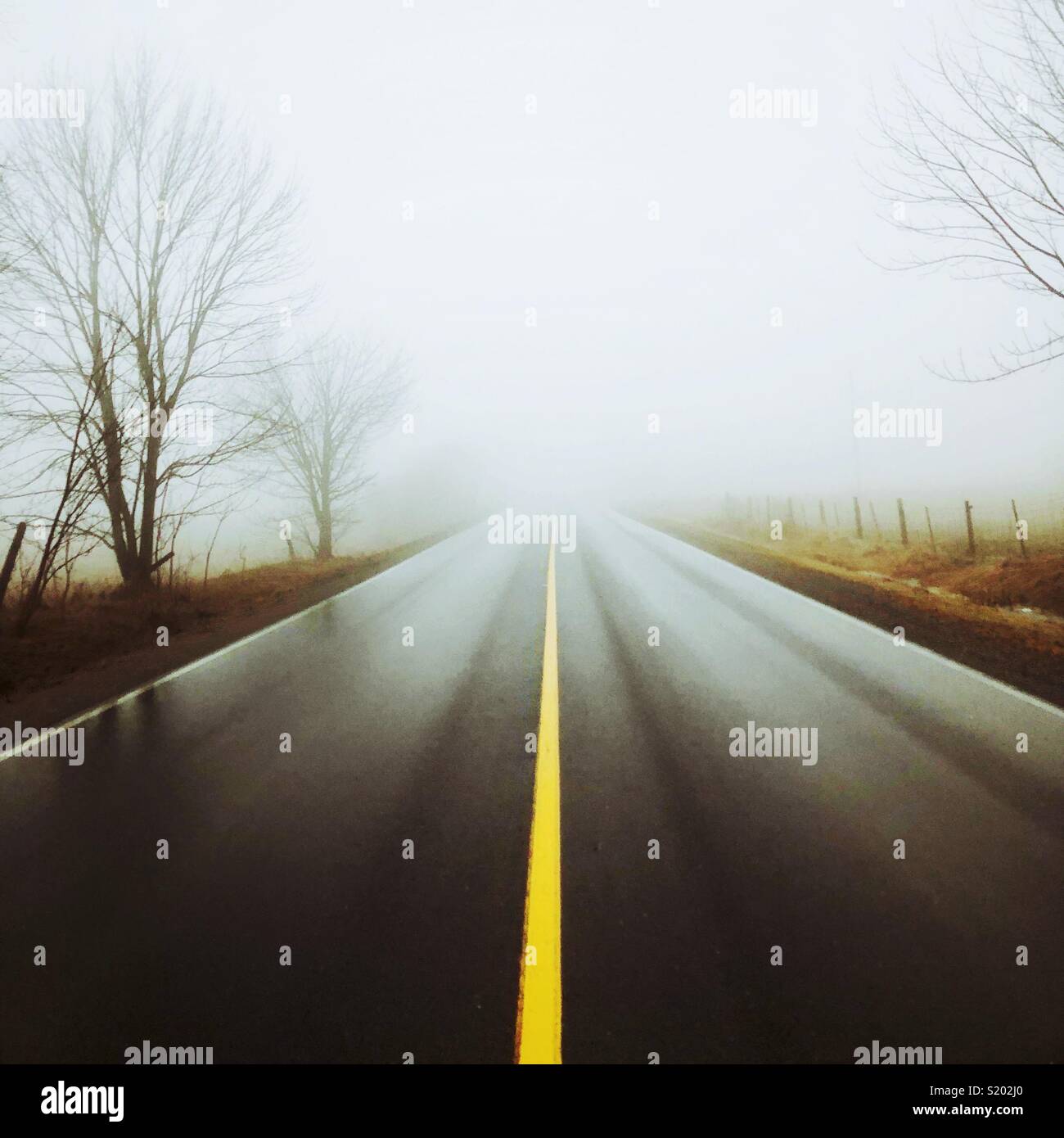 Looking down wet, shiny road with yellow line with fog and trees in background - Smartphone Captured Stock Image Looking down wet, shiny road with yellow line with fog and trees in background - Smartphone Captured Stock Image