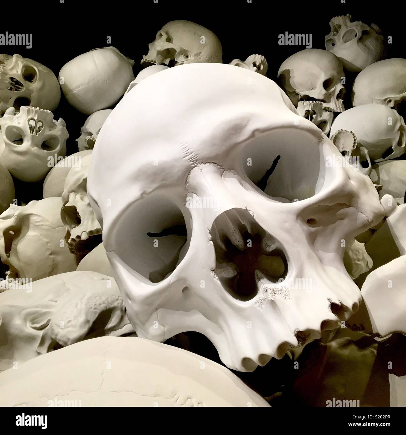 Art installation of human skulls piled up Stock Photo