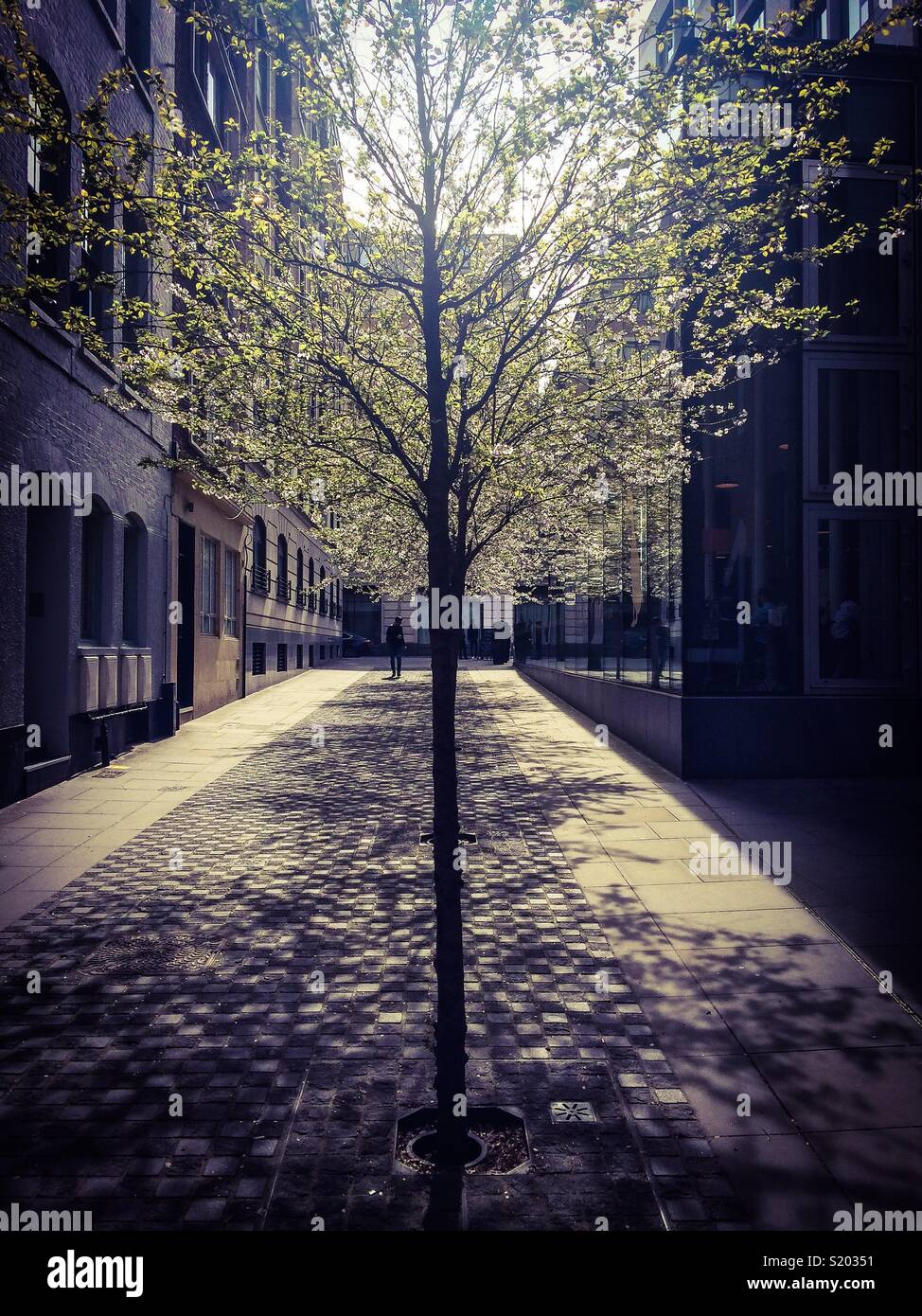 Spring time in London - Smartphone Captured Stock Image