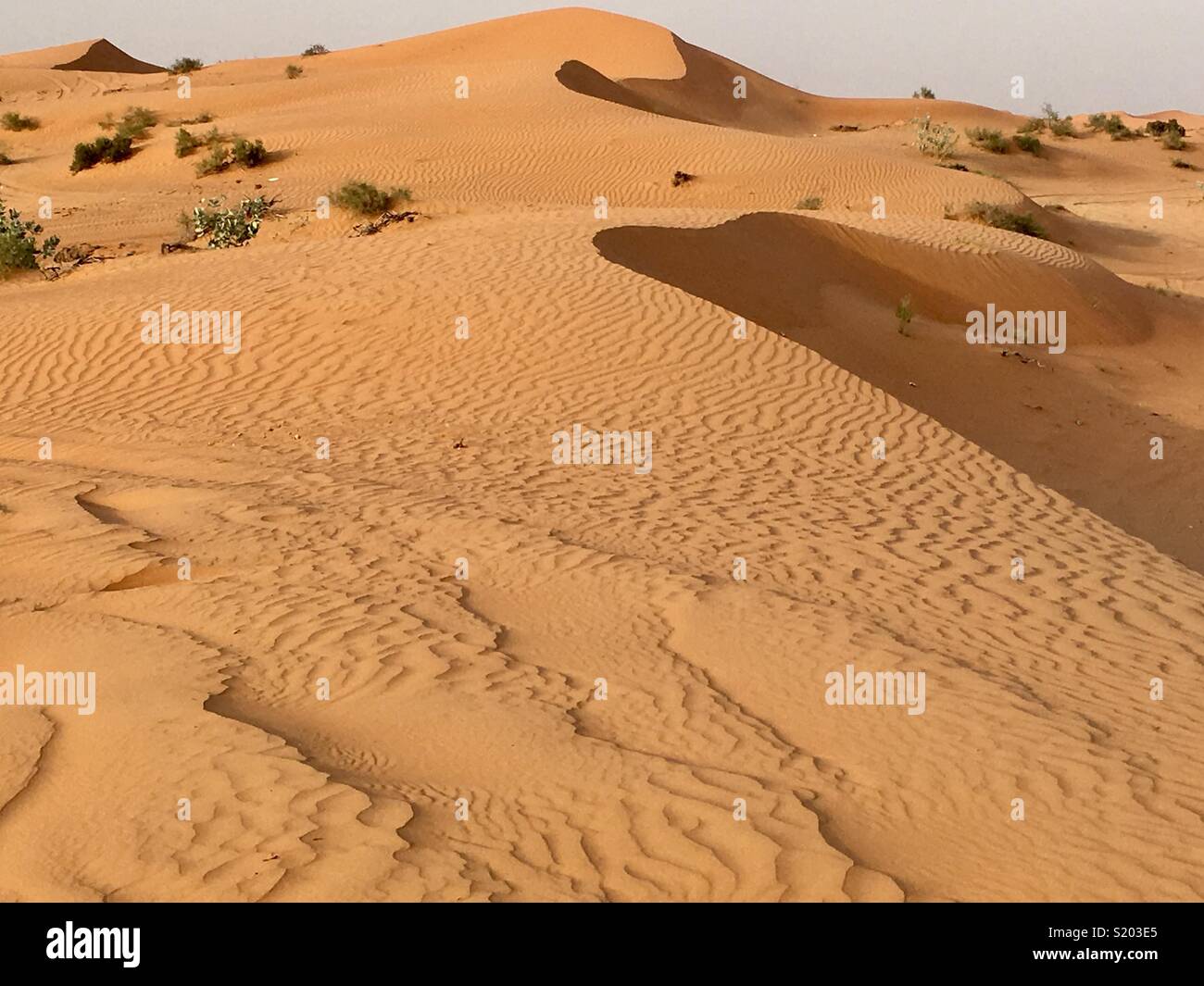 Desert Umm-al-Quirain - Ras Al Khaimah - Smartphone Captured Stock Image