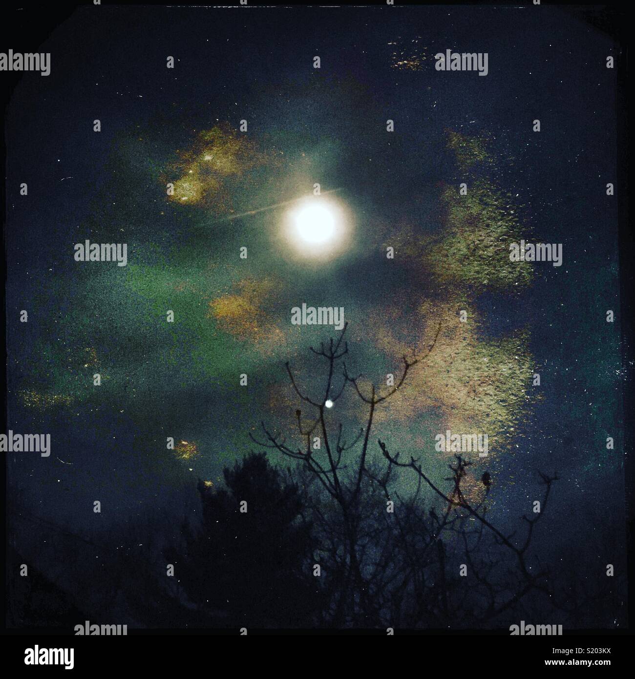 The full moon above the trees using a grunge filter. - Smartphone Captured Stock Image The full moon above the trees using a grunge filter. - Smartphone Captured Stock Image