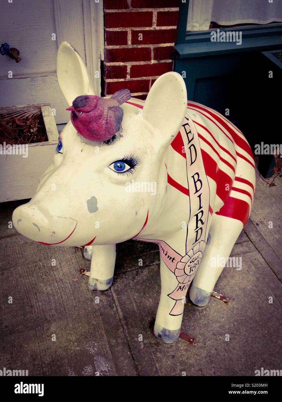 Pigs of the City- smiling pig with a bird on her head sits in front of a store in Lexington, North Carolina, Barbecue Capital of the World - Smartphone Captured Stock Image