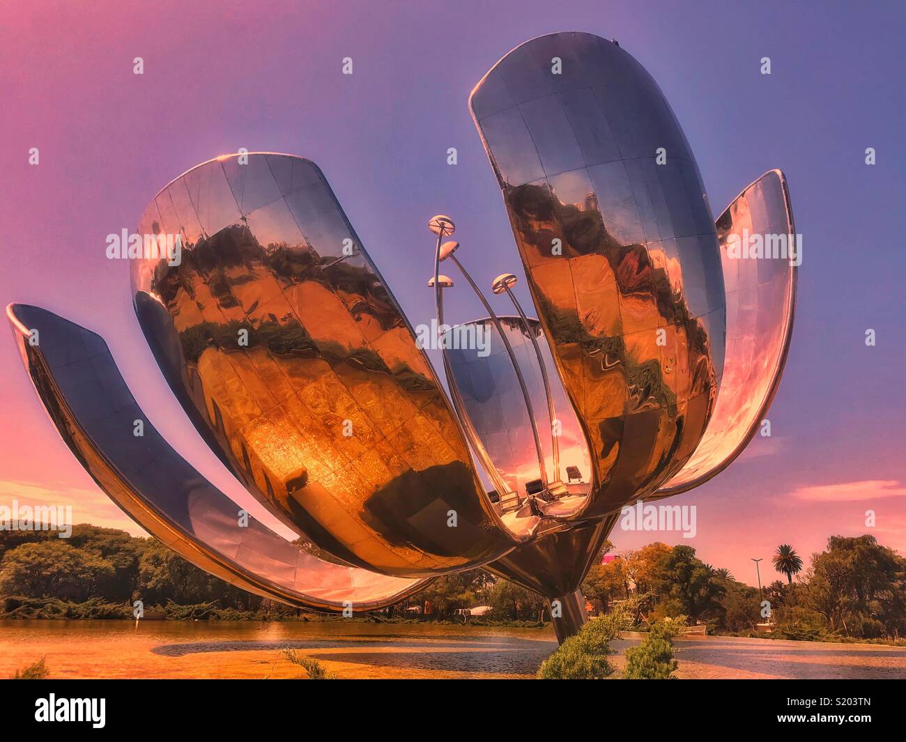 Floralis Generica - Smartphone Captured Stock Image