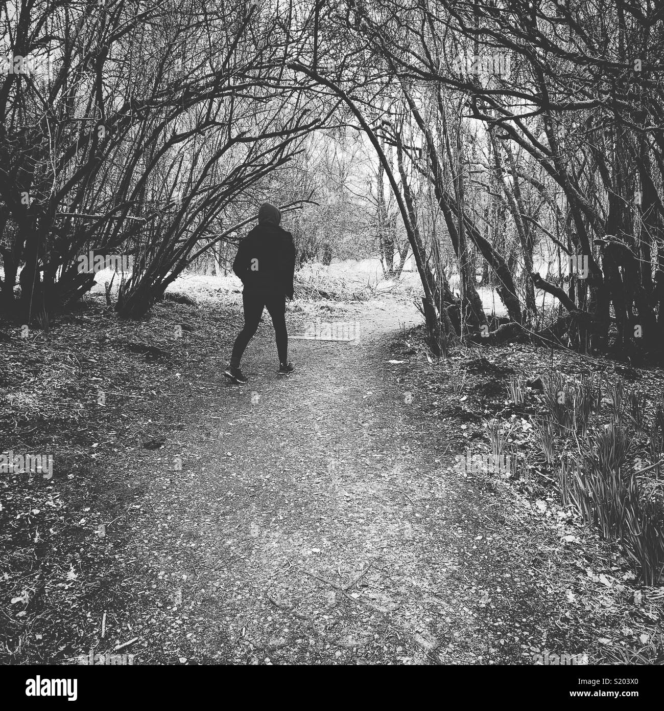 A Walk in the Park, Mugdock Country Park, Glasgow. - Smartphone Captured Stock Image