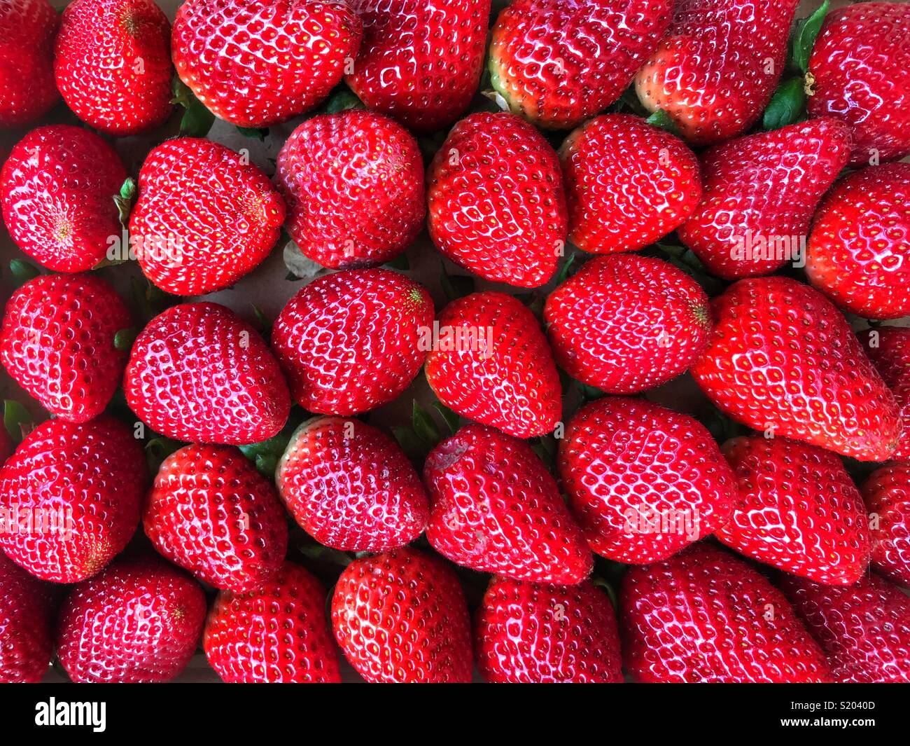 Flatlay photography, ripe, red, strawberries Stock Photo