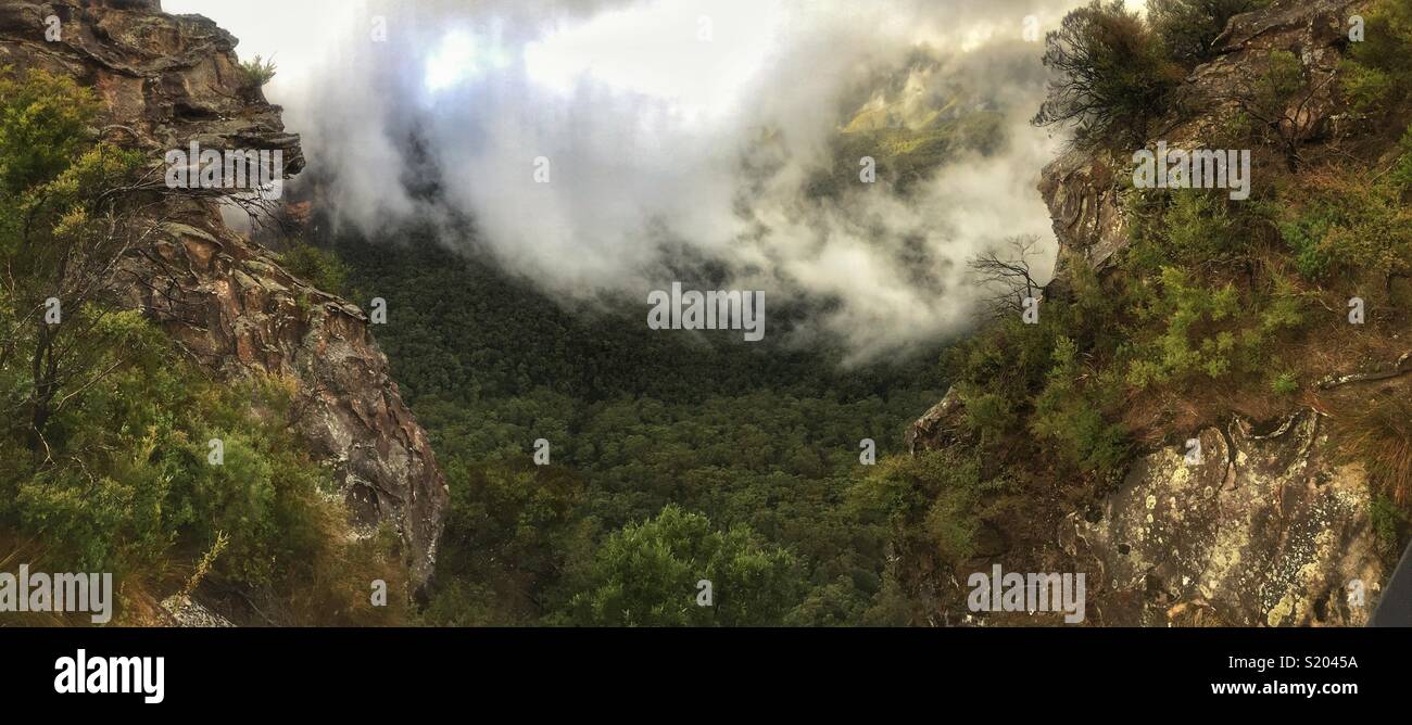 Low cloud swirls in the Jamison Valley below the sandstone cliffs of Elysian Rock Lookout, Leura, Blue Mountains National Park, NSW, Australia Stock Photo