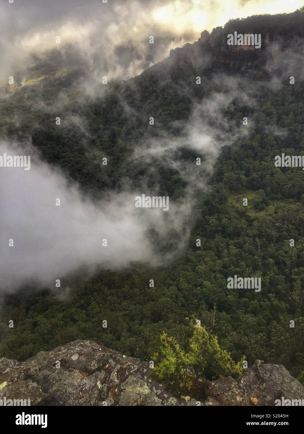 Low cloud swirls in the Jamison Valley below the sandstone cliffs from Elysian Rock Lookout to The Three Sisters, Blue Mountains National Park, NSW, Australia Stock Photo