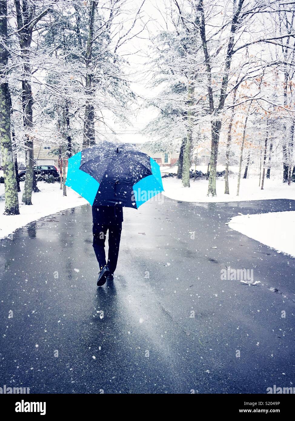 Man walking with an umbrella on a cleared path in a New England snowstorm, United States. - Smartphone Captured Stock Image