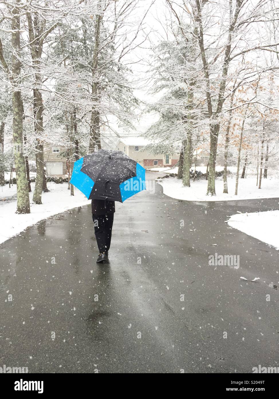 Winter scene of a man walking with an umbrella on a clean path in a new England snowstorm, United States - Smartphone Captured Stock Image