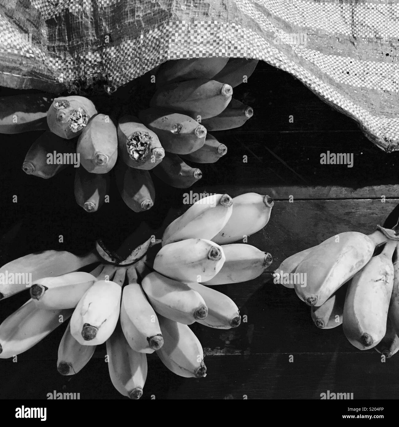 Bananas - Smartphone Captured Stock Image