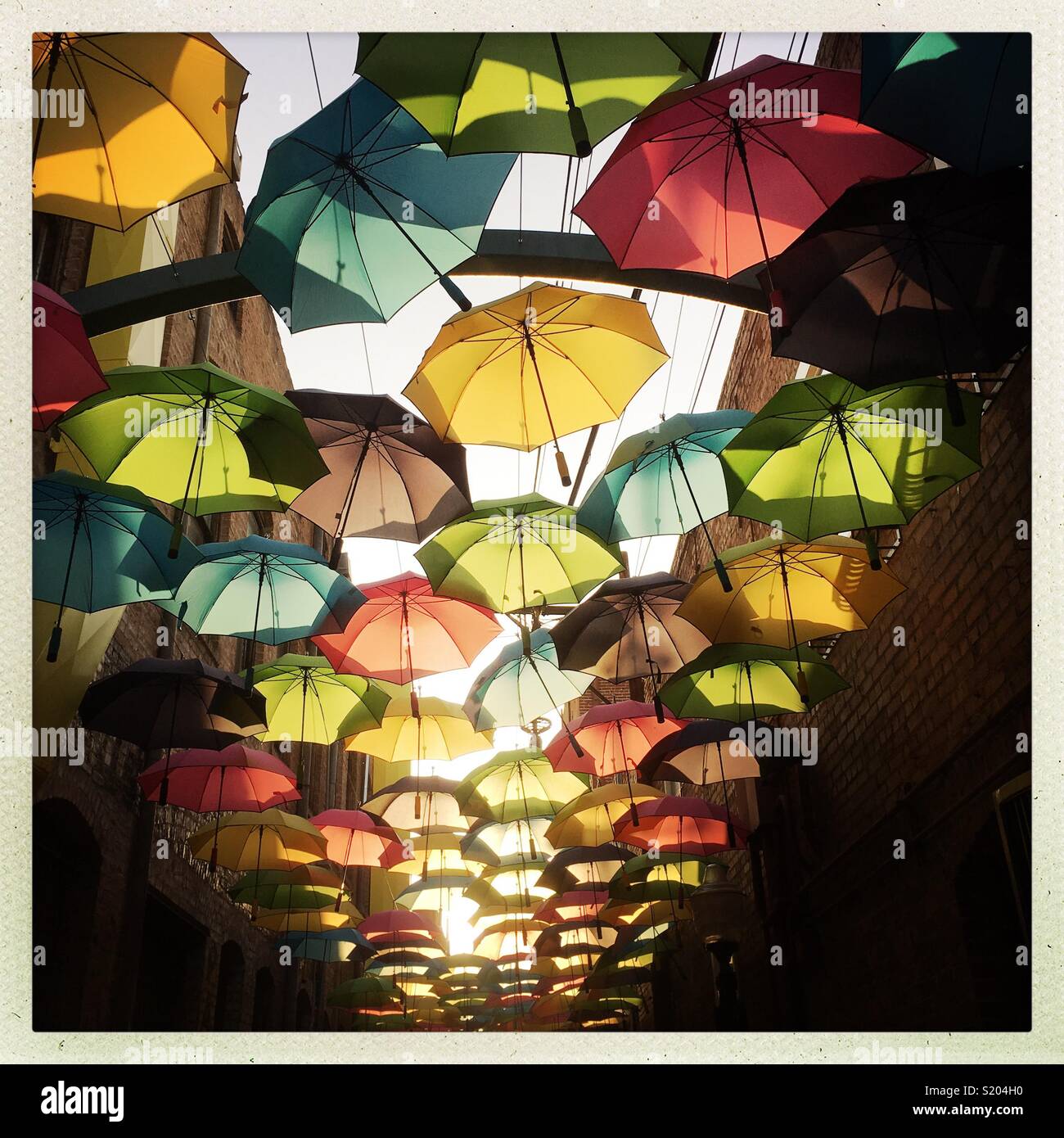 My Image 25