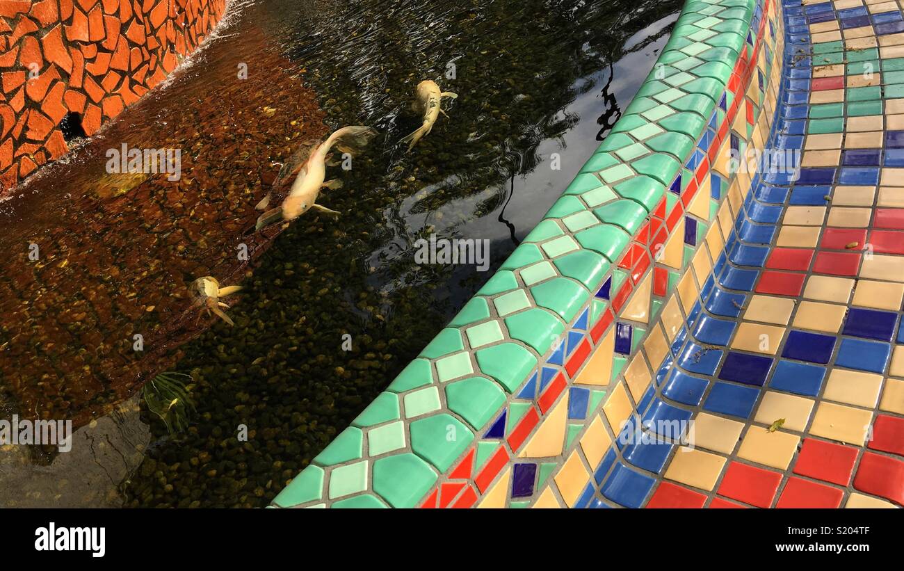 Koi pond with color tiles Stock Photo