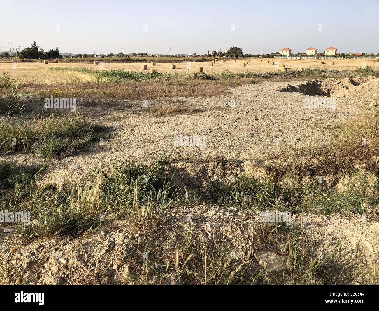 Golden scenery on Cyprus in spring - Smartphone Captured Stock Image