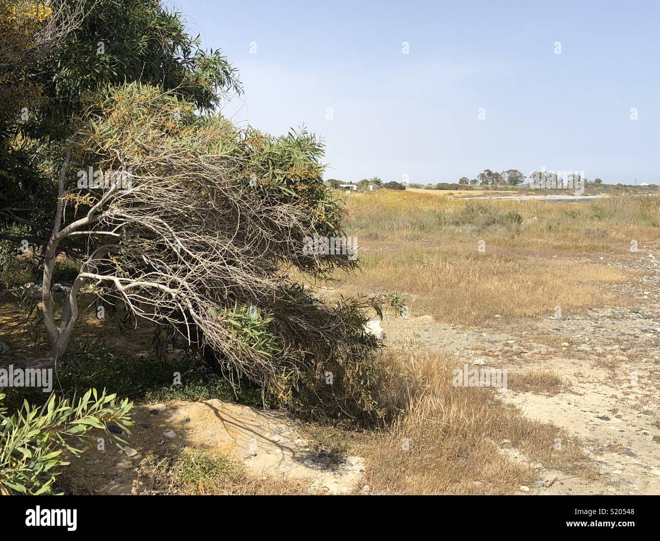 Landscape on Cyprus - Smartphone Captured Stock Image