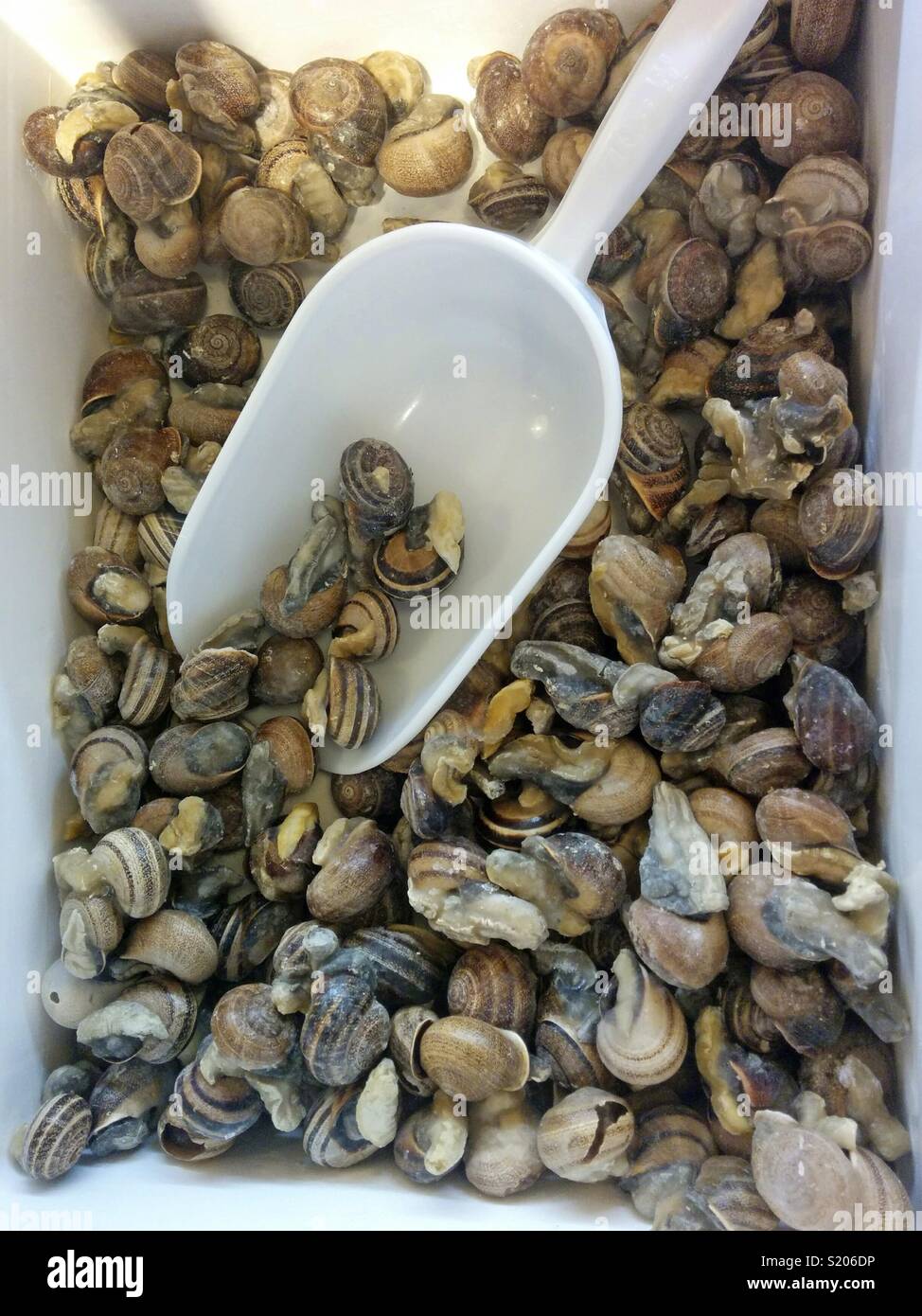 Frozen snails for sale Stock Photo Alamy