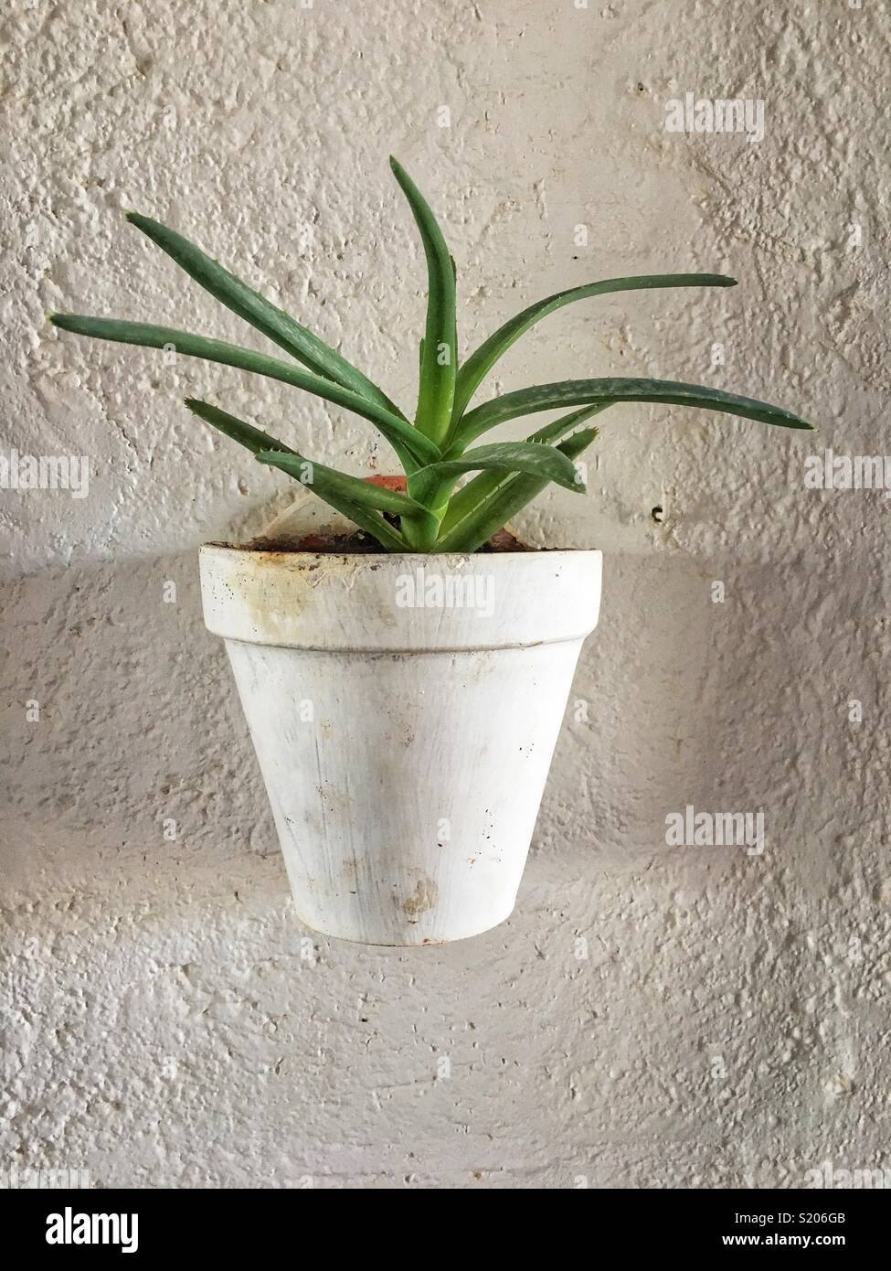Flower pot hanging on a wall to decorate - Smartphone Captured Stock Image