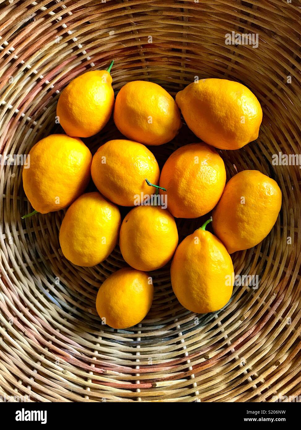 Eleven lemons in a basket - Smartphone Captured Stock Image