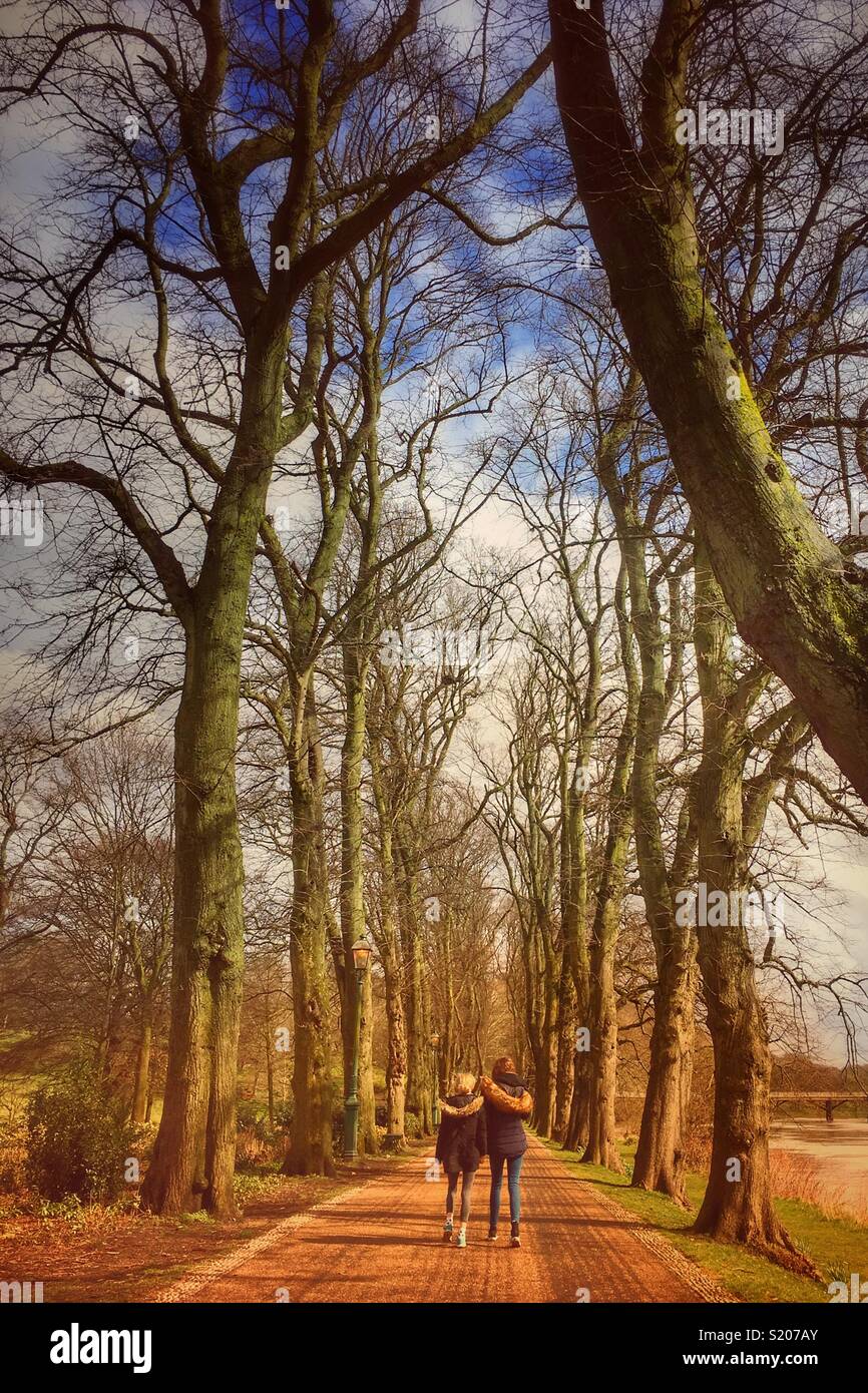 Two children walking down a tree lined path on a sunny winters day - Smartphone Captured Stock Image