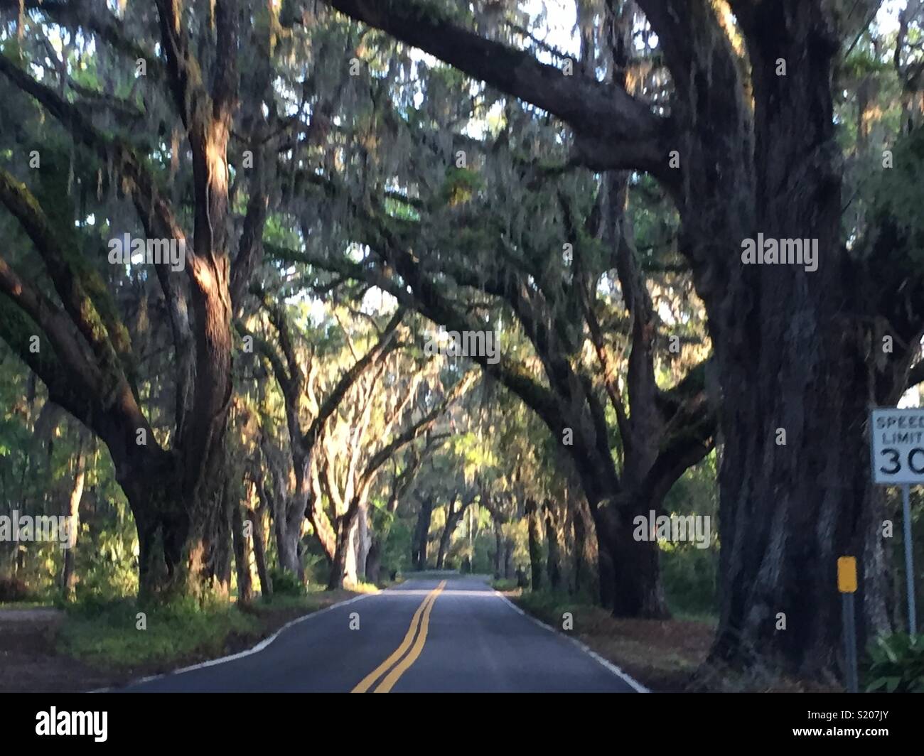 Canopy road hires stock photography and images Alamy