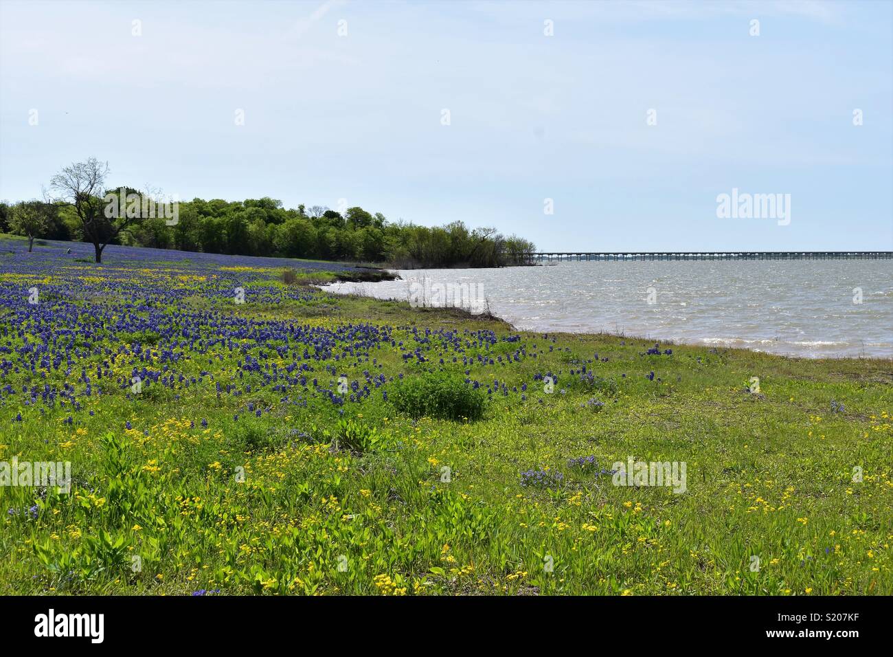 Bridge over bardwell lake hires stock photography and images Alamy