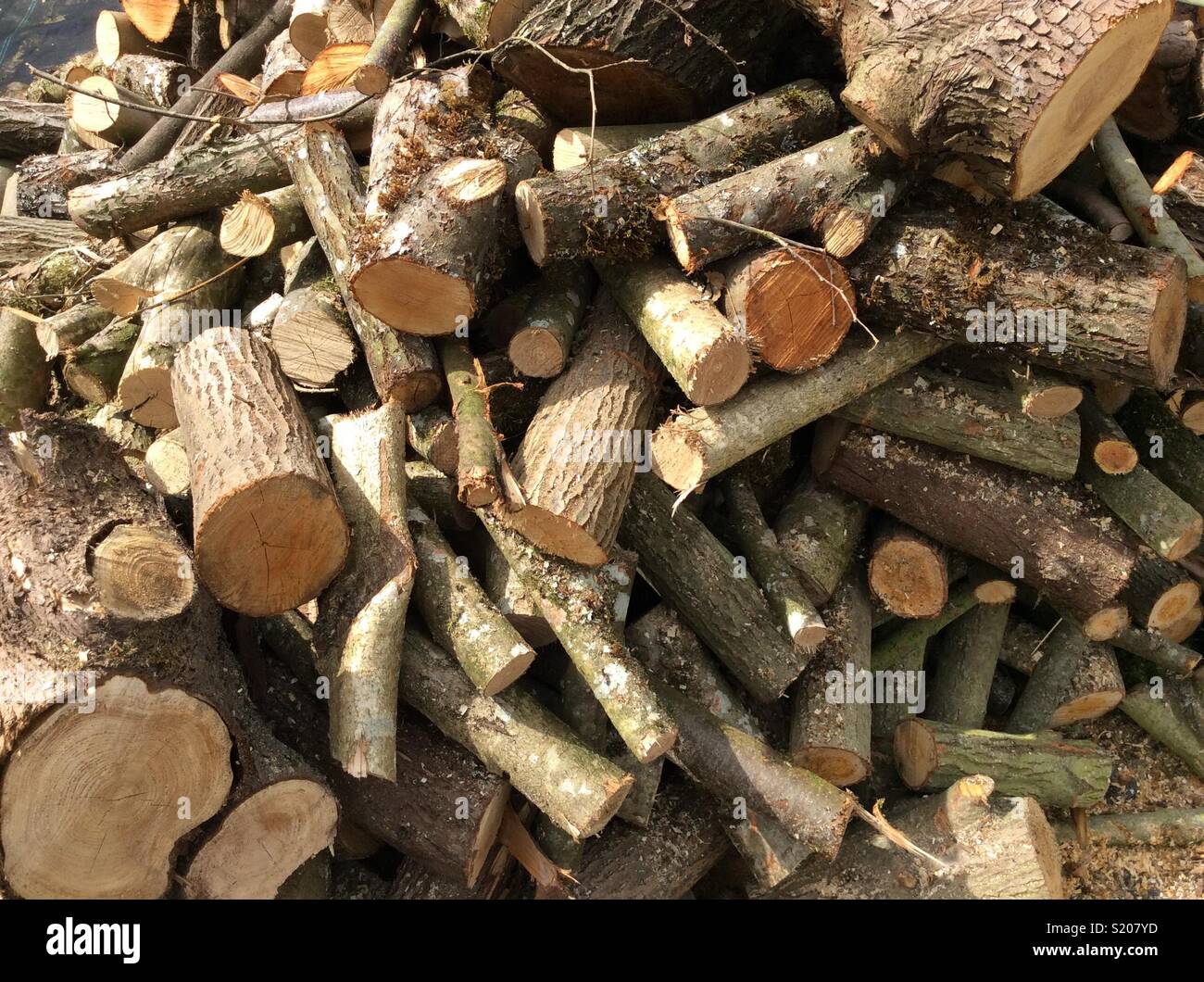 Firewood Stock Photo