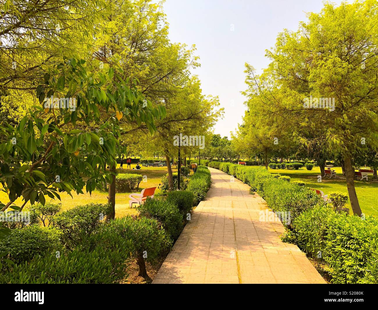 Beautiful Landscape of japanese park in New Delhi,India Stock Photo Alamy