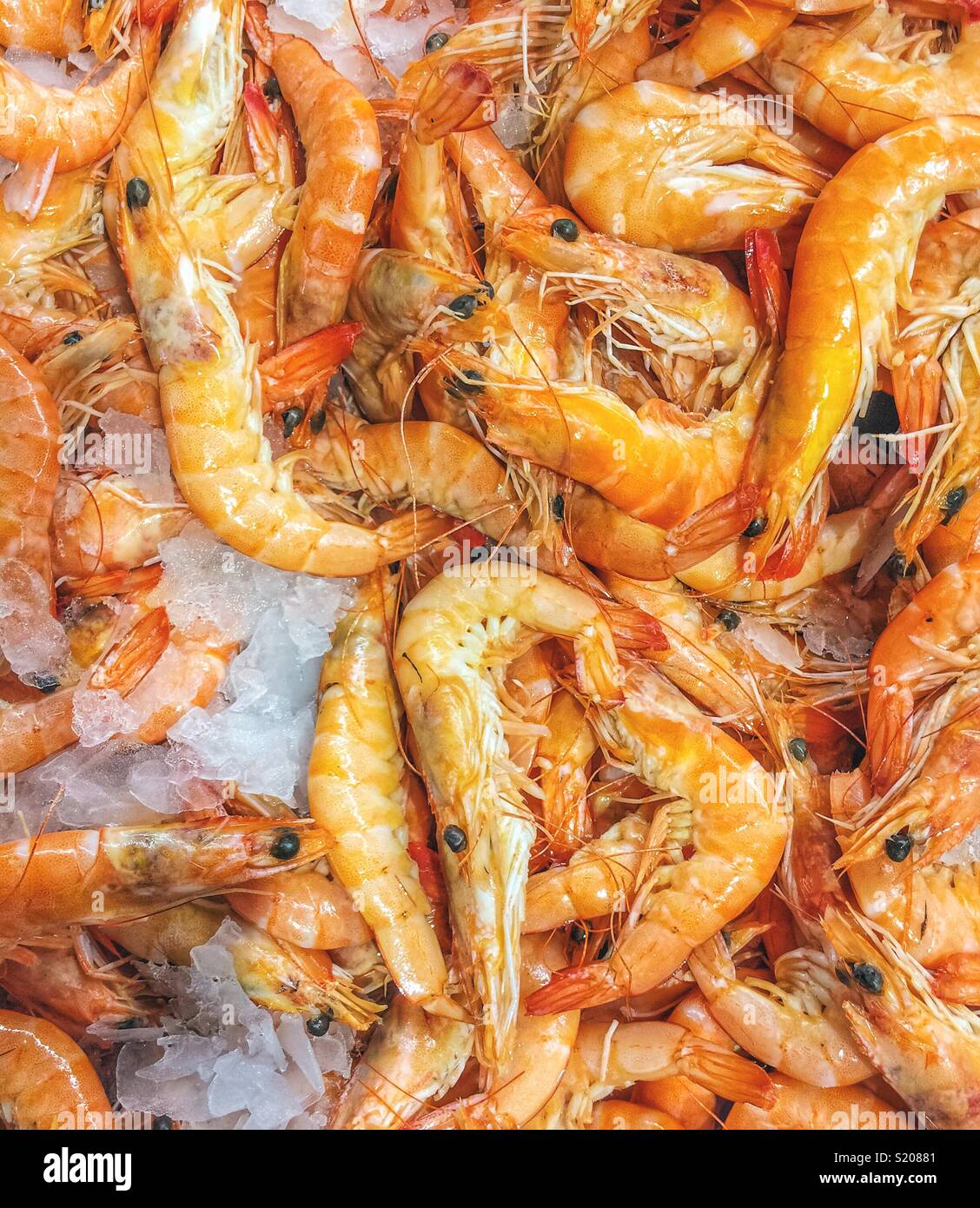 Display of shrimps with ice on a stall in a fish shop. - Smartphone Captured Stock Image