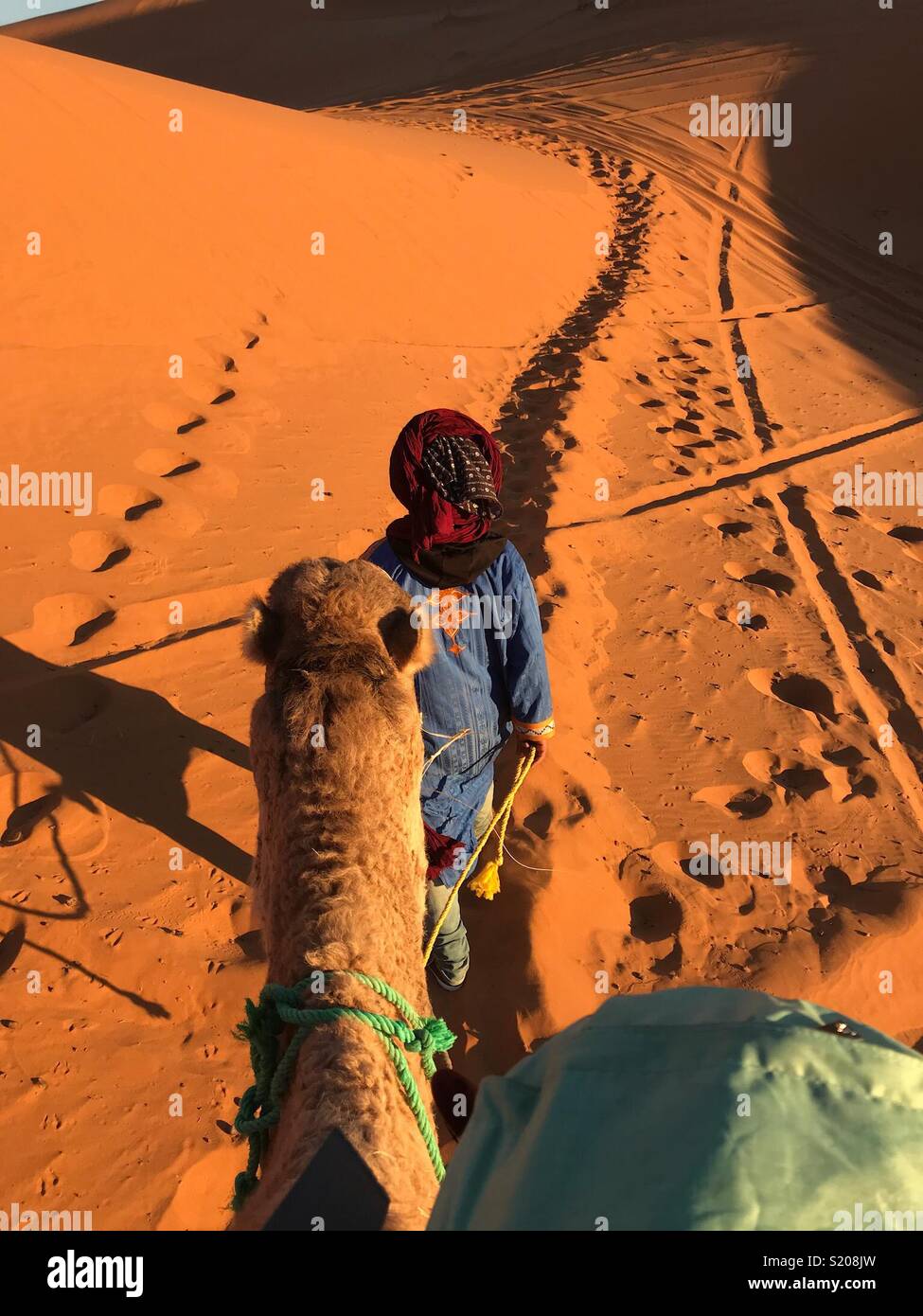 Camel Treks High Resolution Stock Photography and Images - Alamy