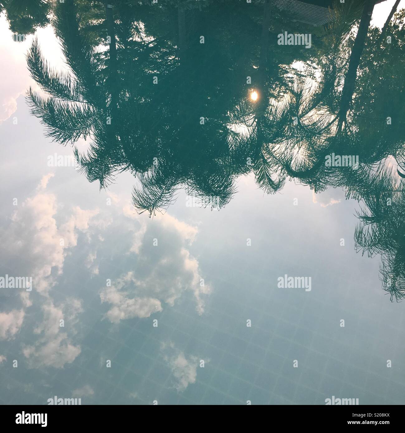 Swimming pool reflection - Smartphone Captured Stock Image