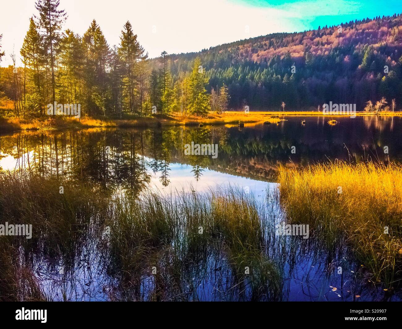 Autumn lake, Lispach lake in the Vosges mountains in fall, France. - Smartphone Captured Stock Image